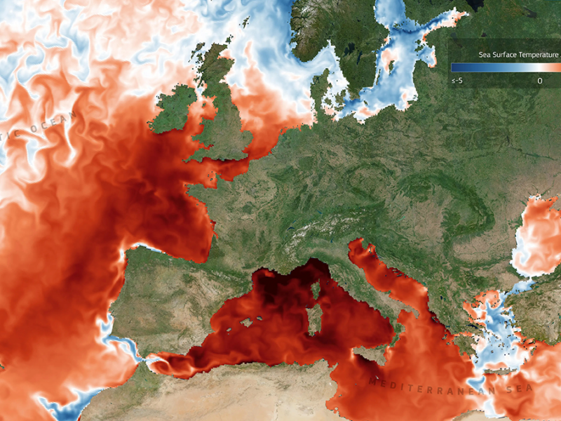 Why Marine Heat Waves and Acidification Strike Together