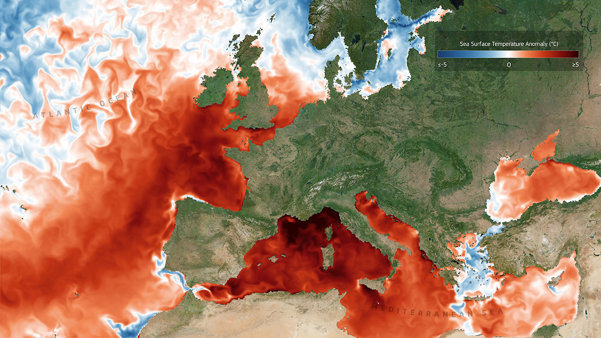 A satellite view of the Mediterranean and Atlantic Oceans on 13 August 2026. Most of the Mediterranean and about half of the part of the Atlantic visible in the image are red or dark red, indicating hot sea surface temperature anomalies.