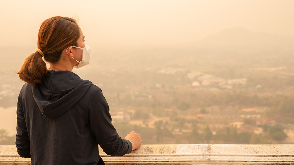 A woman wearing an earloop face mask stands with her back to the camera and her head in profile on a bridge, balcony, or terrace. Her hands rest on the railing as she looks over a landscape obscured by smog.