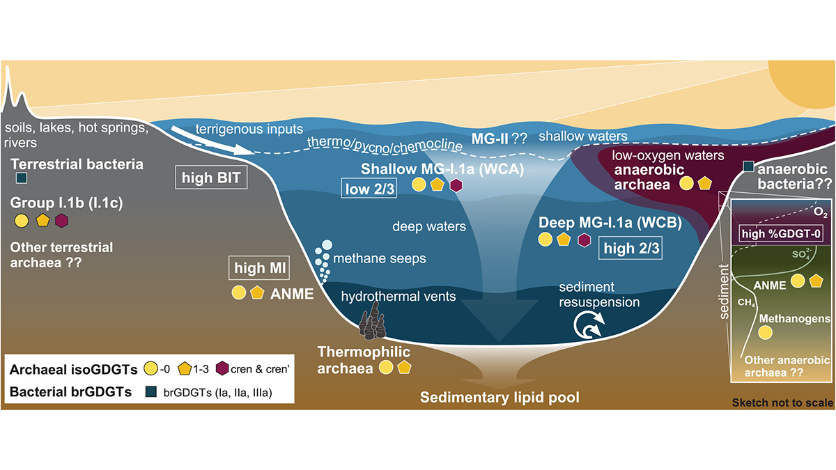 Diagram from the article.