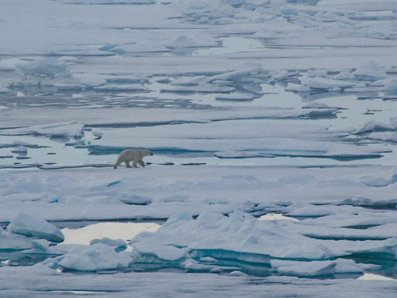 Government Pulls Funding for the Arctic Report Card