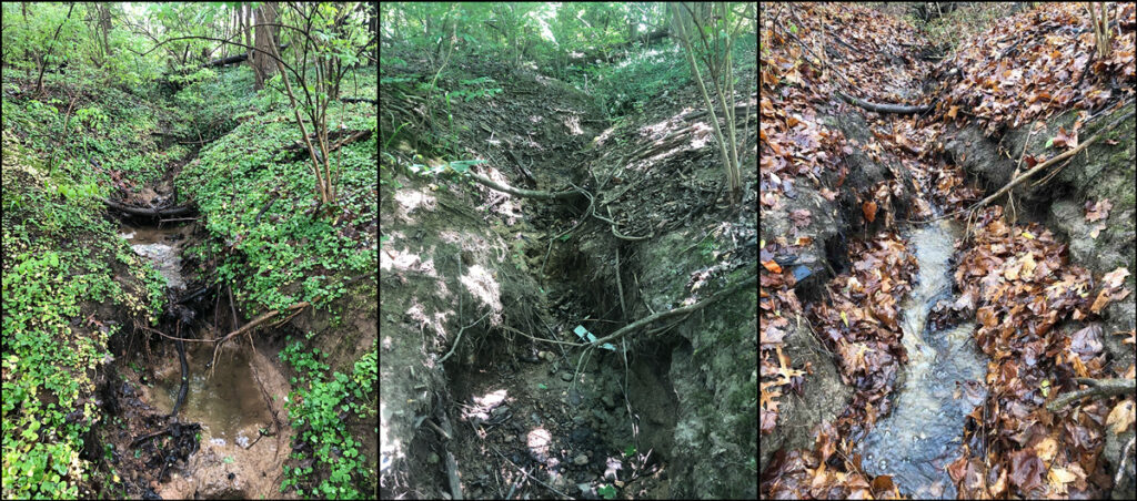 The same section of a small tributary stream runs through a forest at different times of year. At left, green vegetation grows from the banks of the flowing stream; in the middle, the stream bed is dry and less vegetation is seen on the stream banks; at right, the flowing stream and surrounding ground is largely covered by brown leaves.