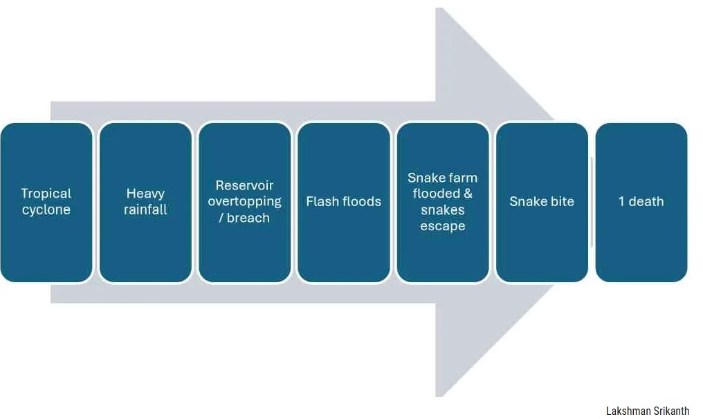 Figure 1: Illustrative causal pathway for reported snakebite fatality during Typhoon Maysak 