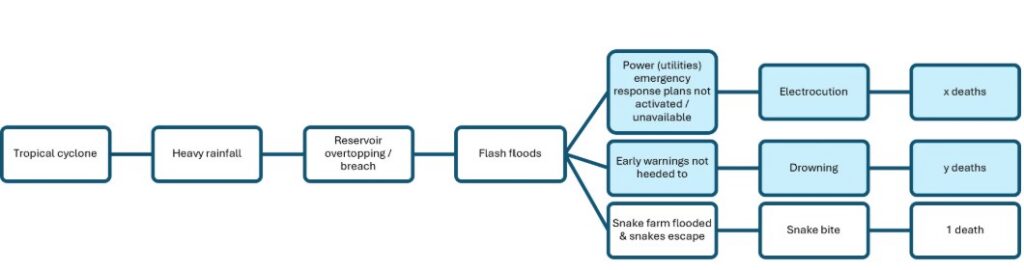 Figure 2: Hypothetical (not event verified) causal pathway associated with a tropical cyclone (darker boxes are hypothetical additions)