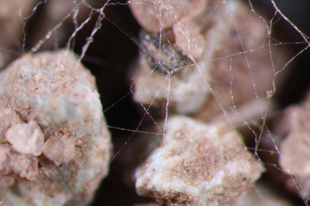 Tiny, spiderweb-like threads stretch between what looks to be rocks but is actually highly magnified soil particles.