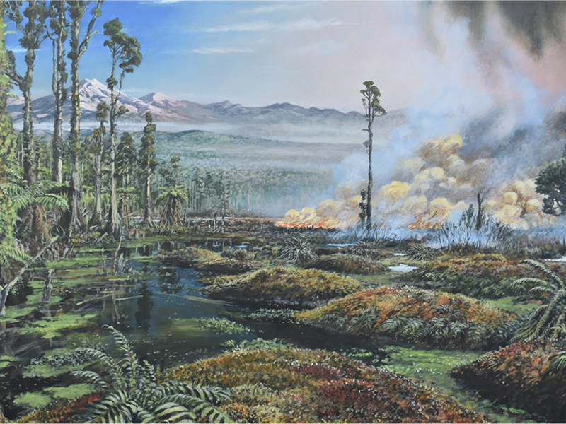 Wildfires Burned in Antarctica 90 Million Years Ago