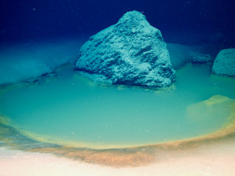 Briny “Death Pools” Hold Clues to Early Life