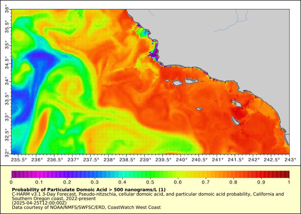 A map of the Pacific off the Southern California coast shows a high probability of domoic acid off the coast.
