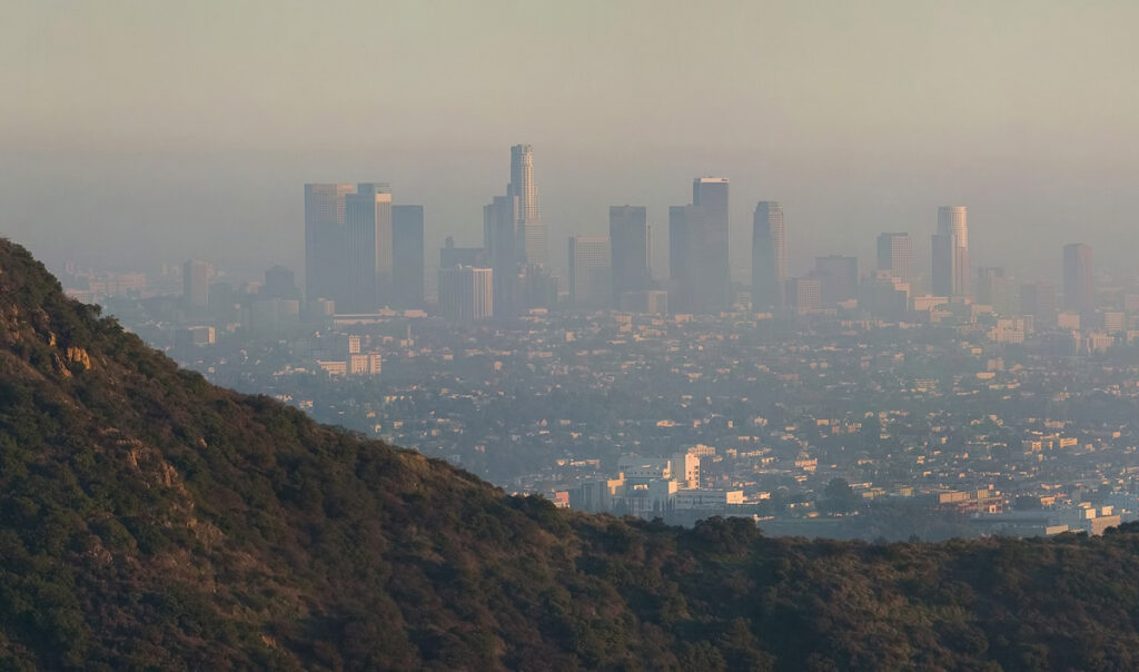 Thick haze hangs over the Los Angeles skyline, as seen from behind a forested ridge in the foreground.