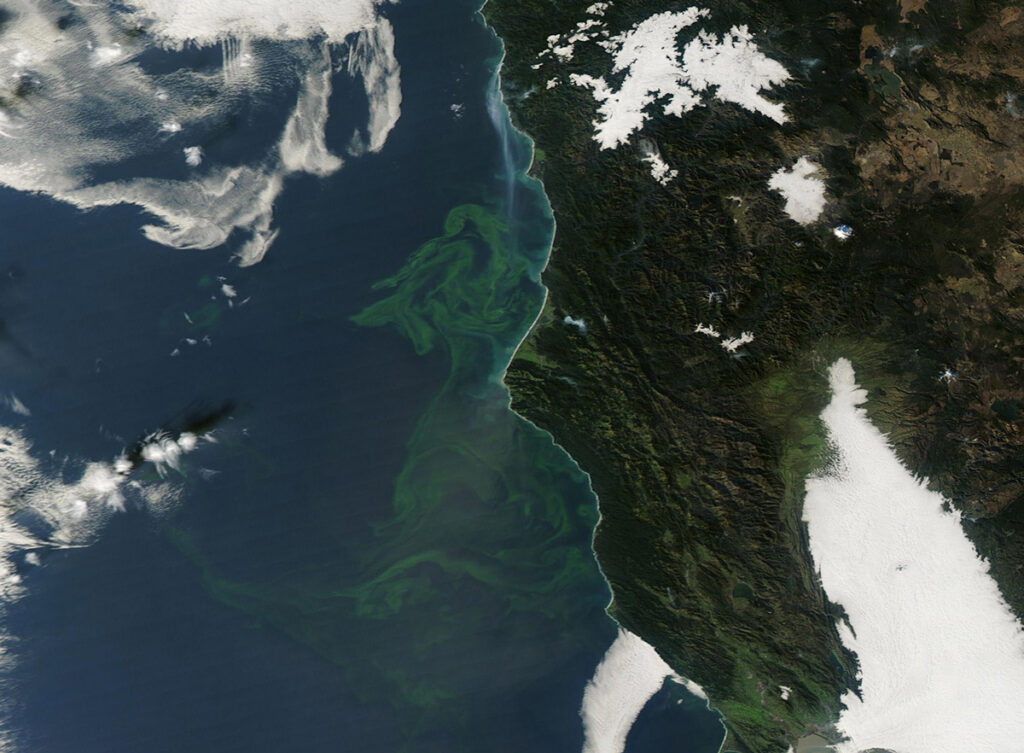 A satellite image shows swirls of green in the waters off the coast of Northern California.