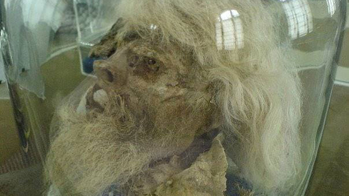 The preserved, if desiccated, head of a man, including flowing white hair and beard, dating to around the 8th century BCE