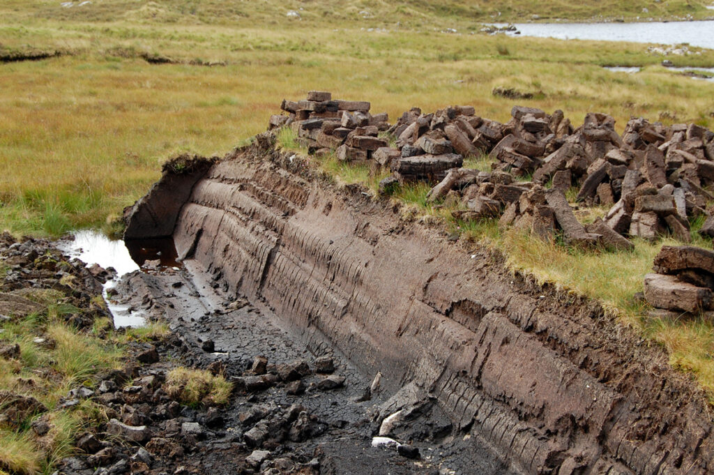 A wetland peat bog with harvested slabs of peat