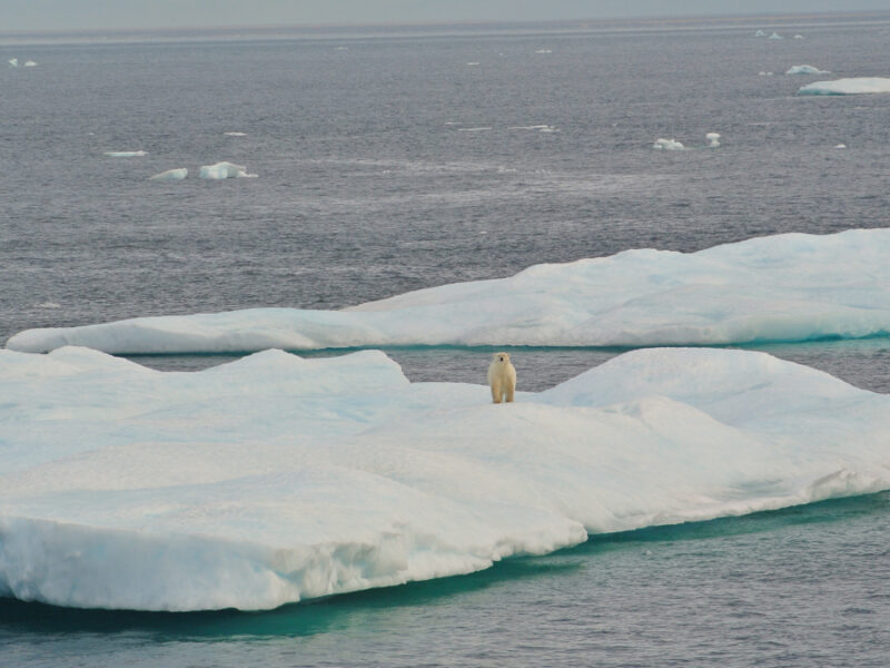 The Arctic Report Card Matters More Than Ever; AGU Joins Partners to Publish in 2026