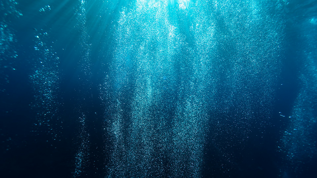 Bubbles rising to the surface of the ocean.