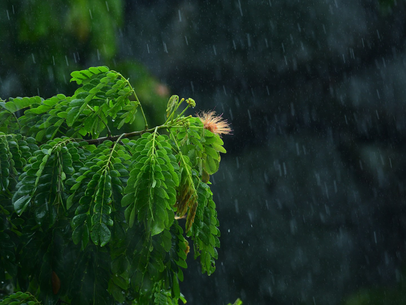 Extreme Equatorial Storms are Larger and More Persistent Under Warming