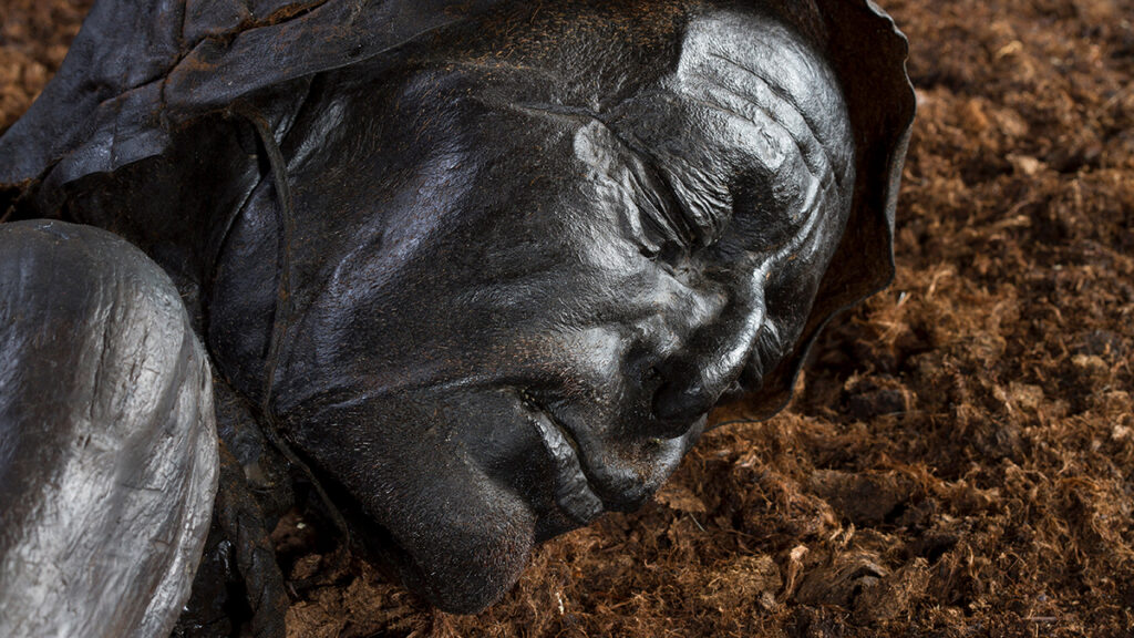 Close-up of the face of Tollund Man, a remarkably preserved bog body dating to the 5th century BCE