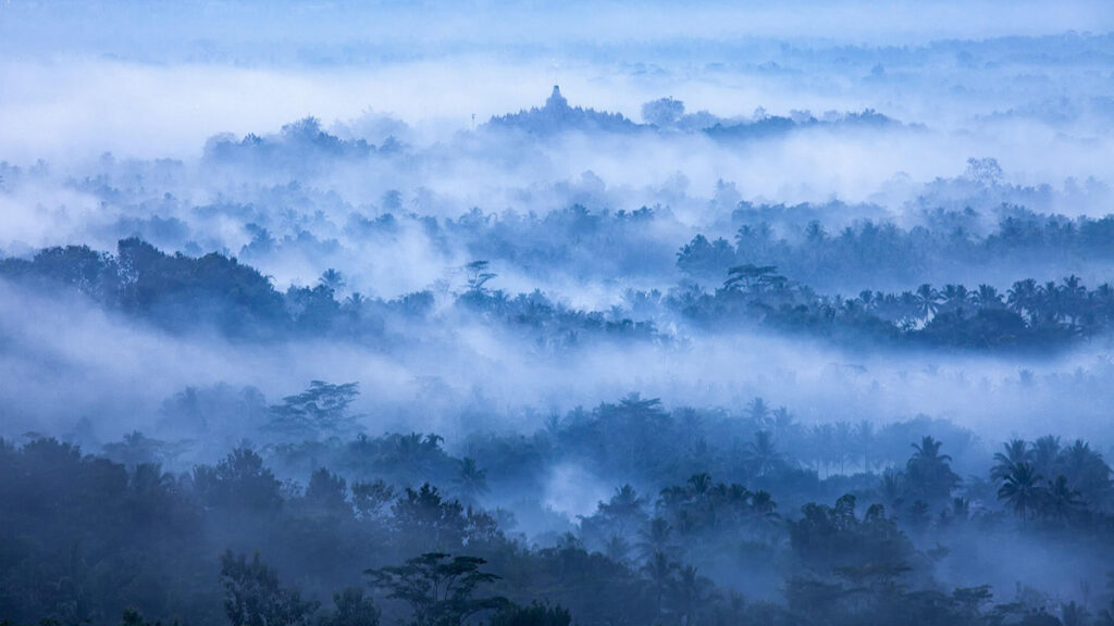 Hazy clouds hover low above a large forest expanse in this blue-hued photo. In the distance, a temple sits atop a hill in the forest.