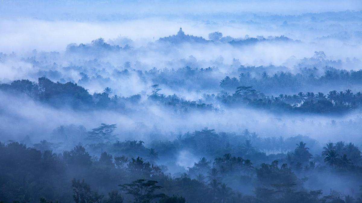 Hazy clouds hover low above a large forest expanse in this blue-hued photo. In the distance, a temple sits atop a hill in the forest.