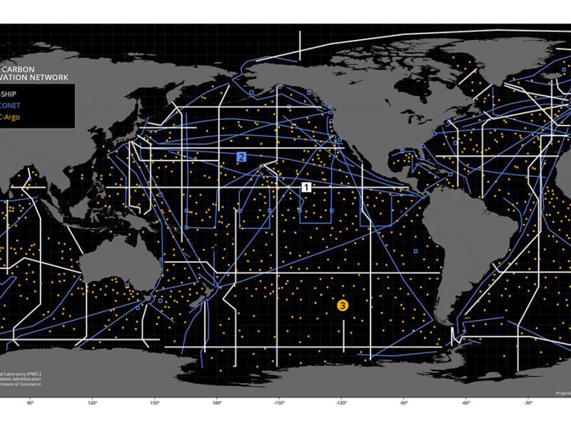 Now Critical: Optimizing Complementary Ocean Carbon Observing Networks