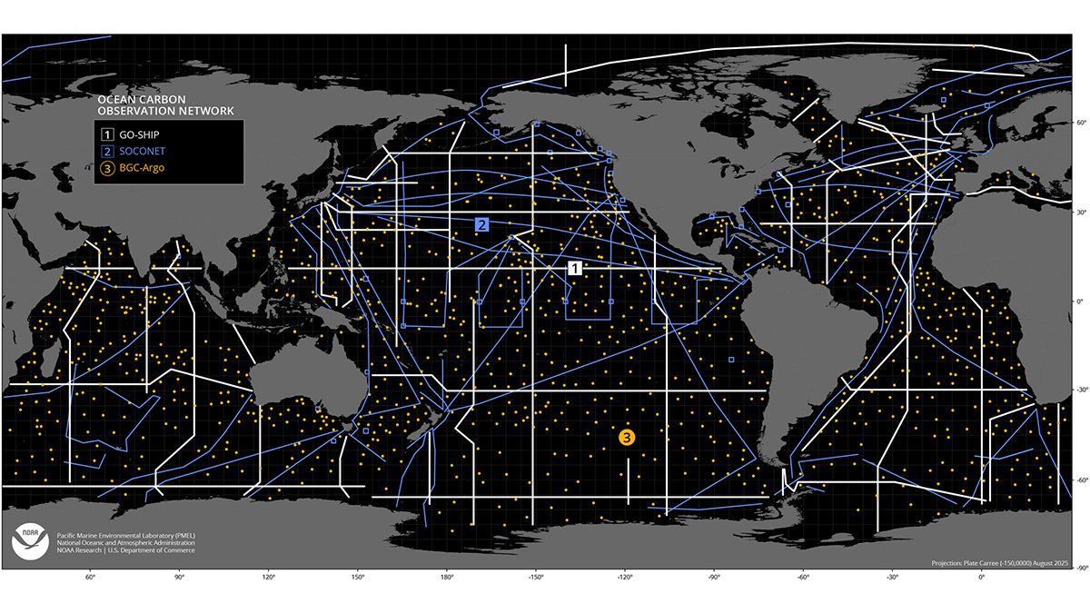 A world map showing locations of observation networks.
