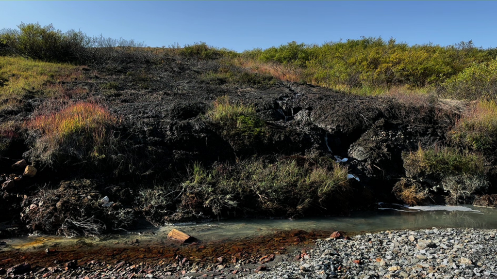 A stream.