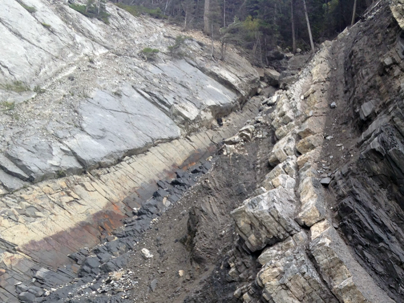 Biosignatures Extend Robustly into the Top Kilometer of Sedimentary Basins