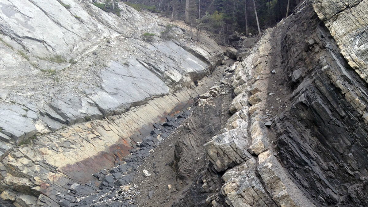 A rock outcrop.