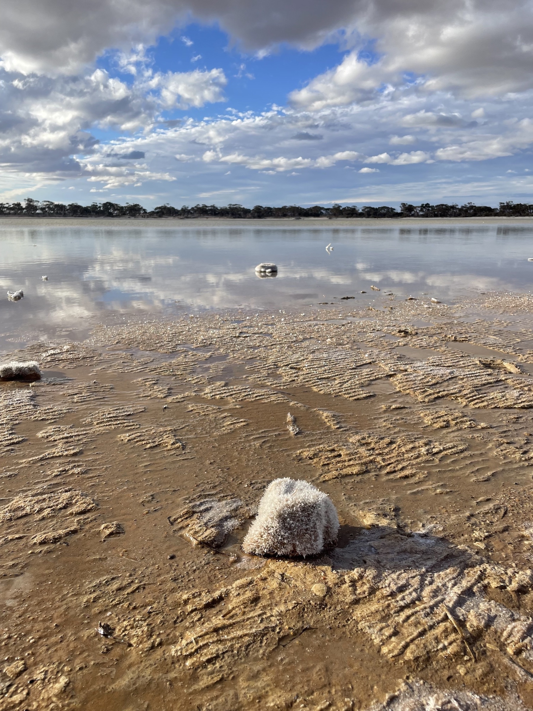 A photograph shows an area of salty sand, including with some large chunks of crystallized salt, fading into a watery area in the distance. The water is reflecting clouds and a blue sky overhead.