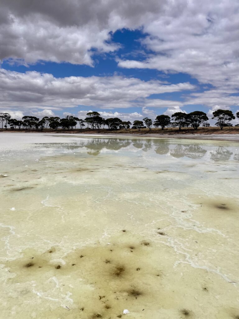 A shallow lake stretches into the distance. Beyond it are the silhouettes of trees and a blue and cloudy sky.