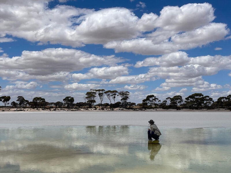 The Secrets of Acid Salt Lakes