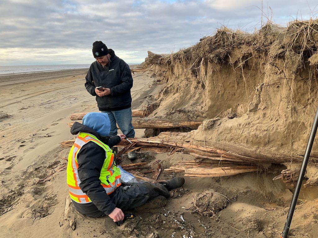 Two people, one sitting (foreground) and one standing, inspect long pieces of wooden timbers protruding from an exposed section of a beach sand dune.