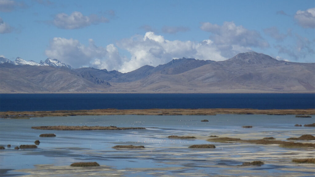 View across a shallow wetland area dotted by birds and small islands covered in low vegetation. A large lake lies beyond the shallow wetland, and tall mountains rise in the distance.