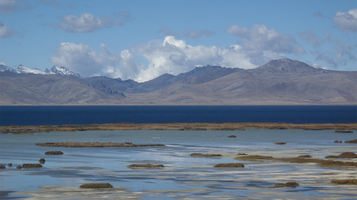 View across a shallow wetland area dotted by birds and small islands covered in low vegetation. A large lake lies beyond the shallow wetland, and tall mountains rise in the distance.
