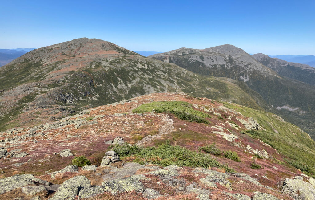An image of a mountain ridge covered in brown and green plants. There are more brownish plants on the left (west) side of the ridge and more green plants on the right (east) side of the ridge.