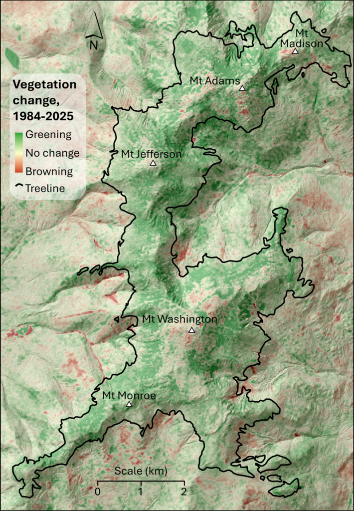 A map of the Presidential Range in New Hampshire shows the alpine zones surrounding Mount Madison, Mount Adams, Mount Jefferson, Mount Washington, and Mount Monroe. Vegetation change from 1984 to 2025 is denoted with green shading for areas that are greening and brown shading for areas that are browning. The tree line (boundary of the alpine zone) is shown with a black line. Most of the area within the tree line is shaded green.