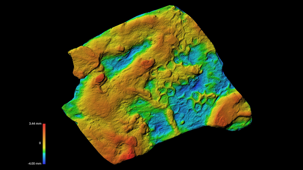 A 3D image, colored in rainbow colors, of a Paleodictyon fossil sample. A scale bar on the left side of the image shows the depth of the fossil; the hexagonal network is all on the same plane.