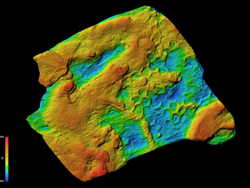 Scientists Finally Think They Know What Made These Geometric Fossils