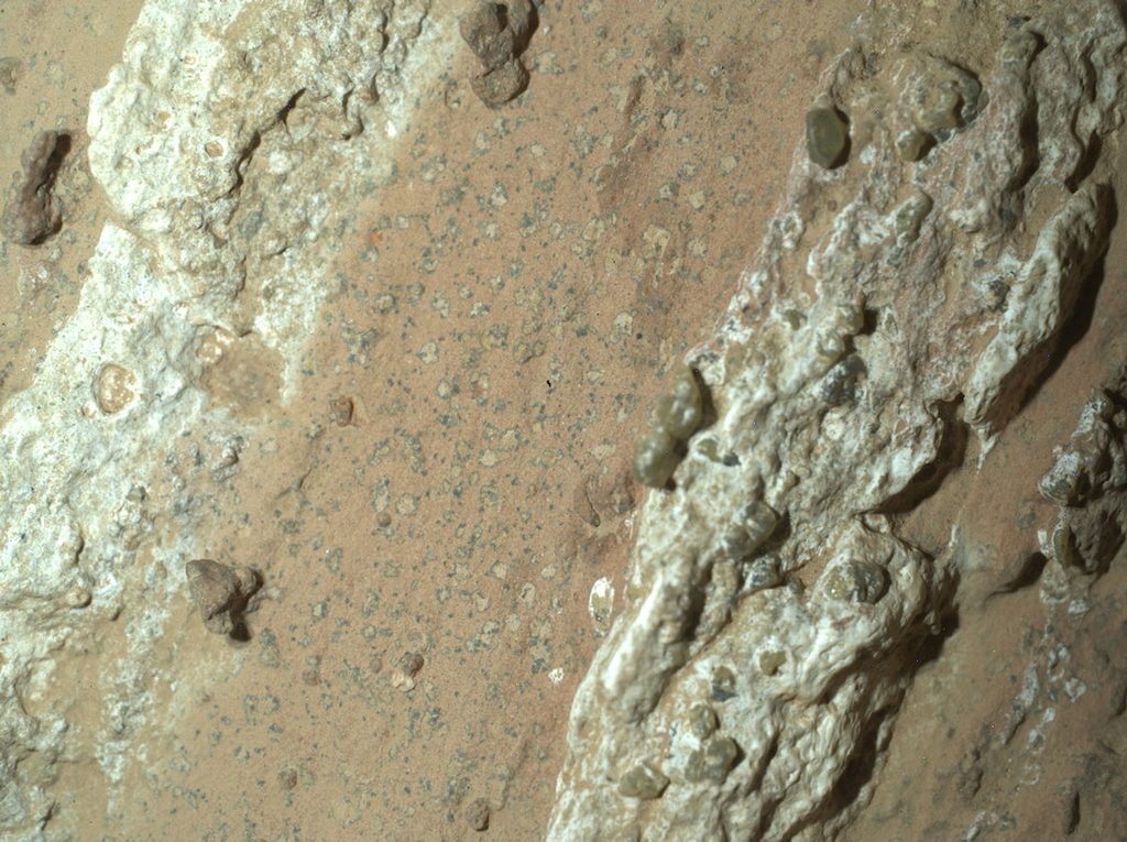 Close-up view of a patch of Mars’s surface showing two bands of light-colored rock on either side of orangish rock hosting millimeter-scale features that look like leopard spots.