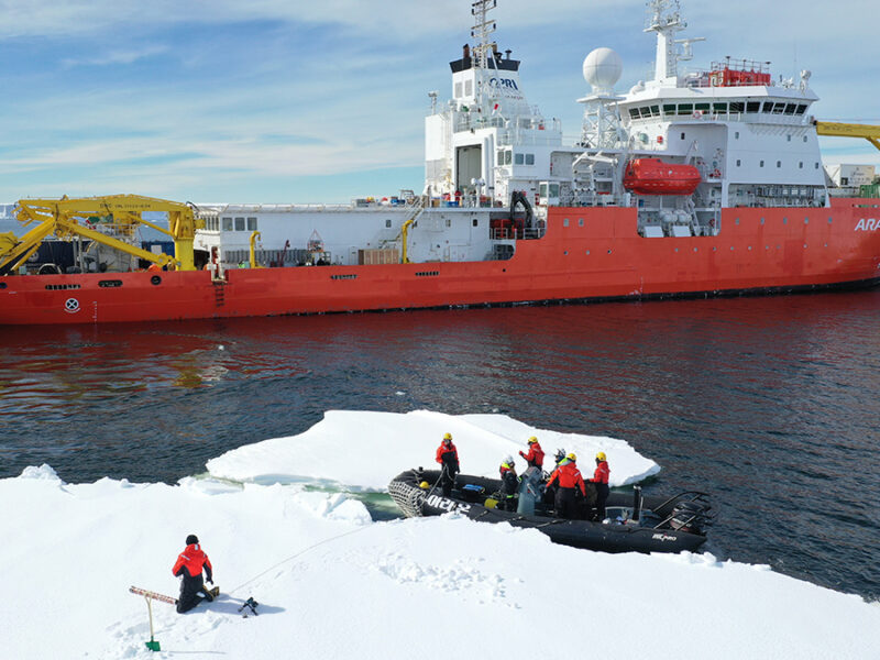 Reliable AI Sea Ice Forecasts Depend on Sustained Observations