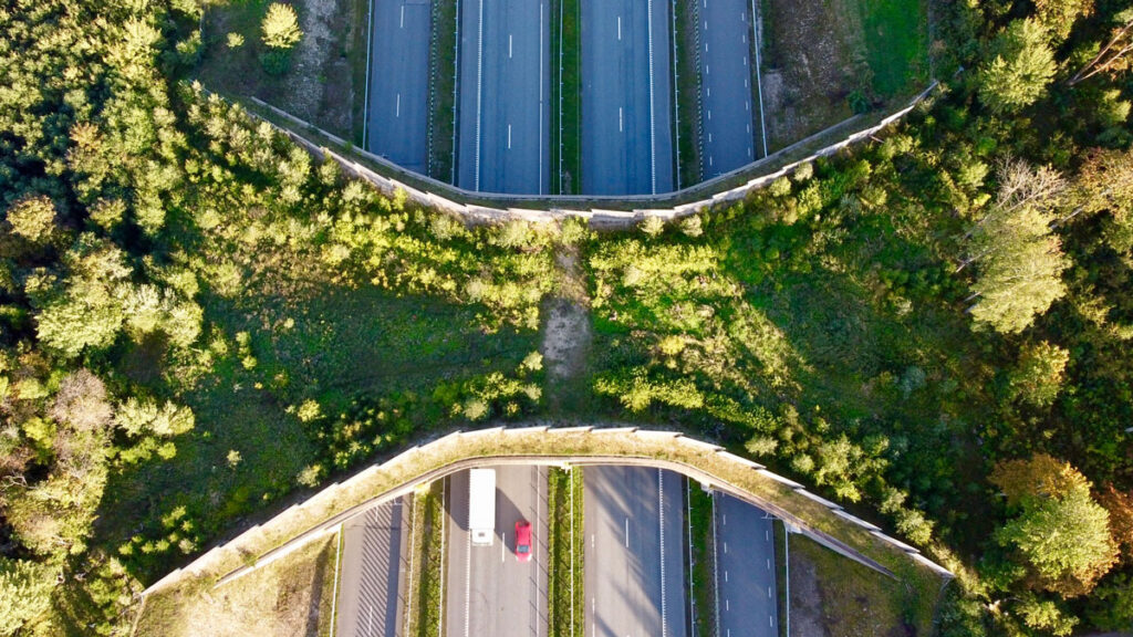 Aerial photograph of a richly vegetated wildlife crossing over a 4-lane highway